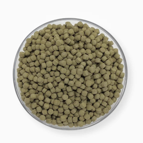 Pudina (Natural Mint) Vati